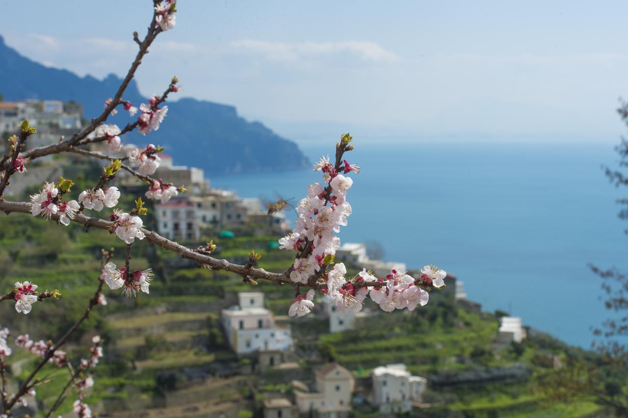 Casa Pina Appartamento *