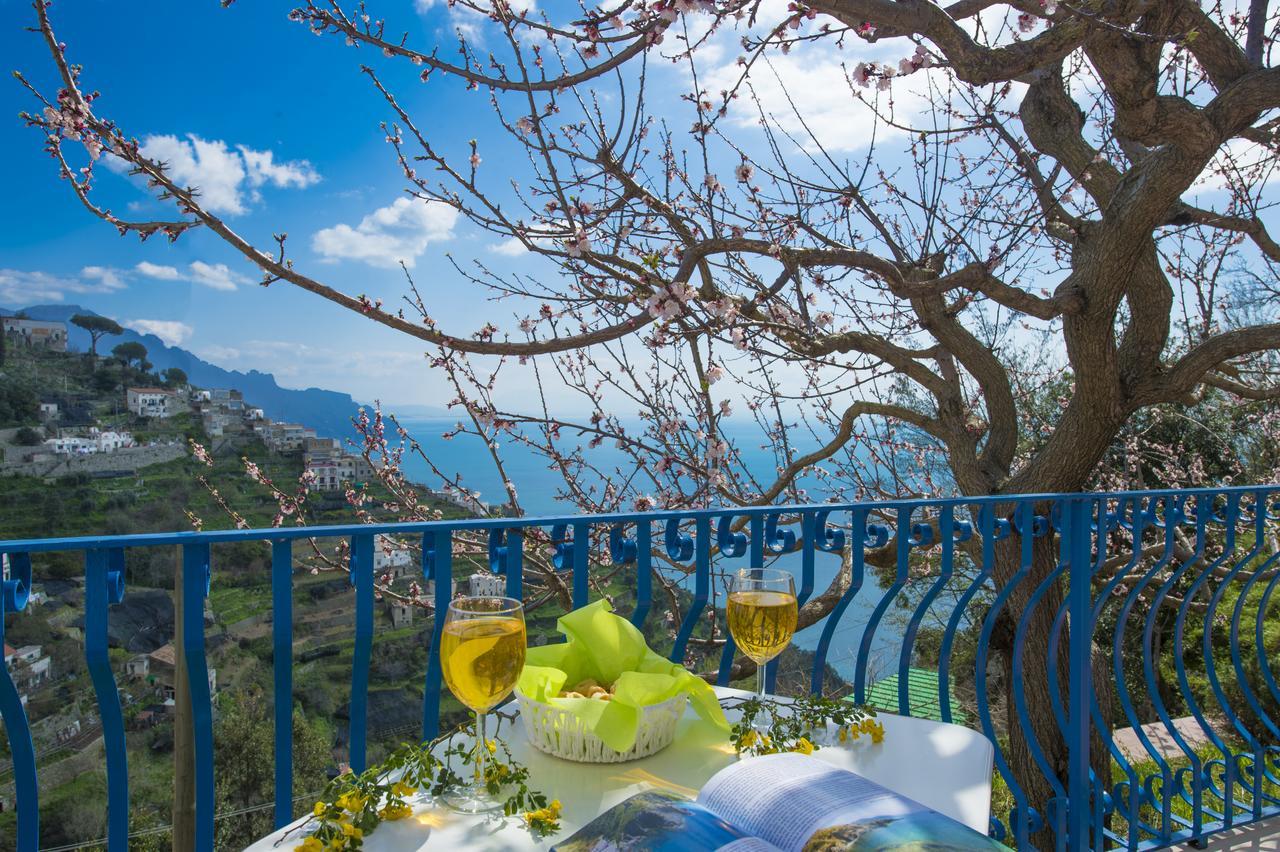 Appartement Casa Pina *