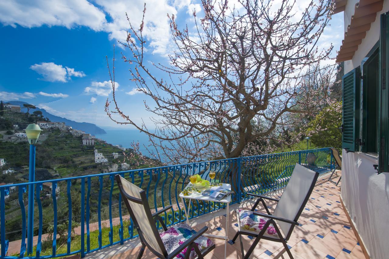 Casa Pina Apartment *